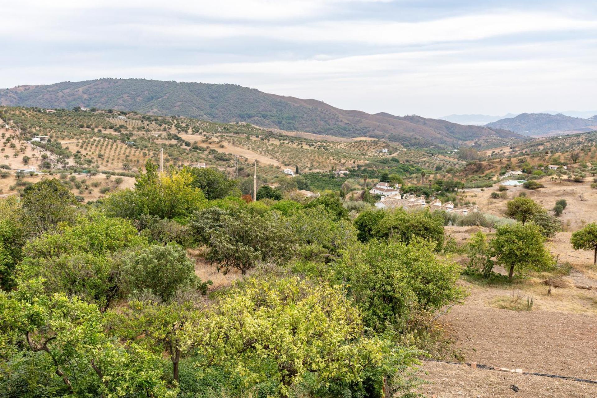 Malagasuite Cortijo Robles Casarabonela Bagian luar foto