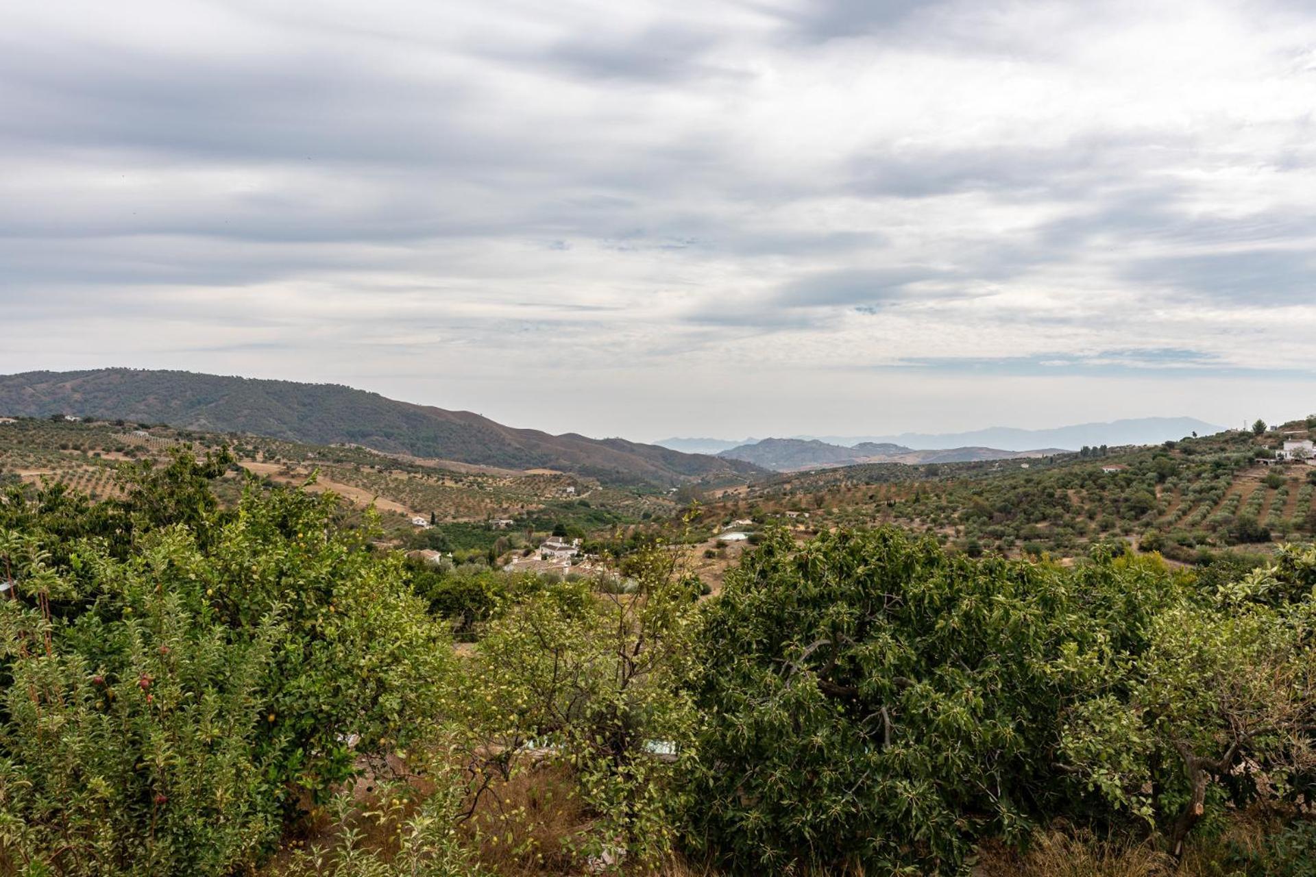 Malagasuite Cortijo Robles Casarabonela Bagian luar foto