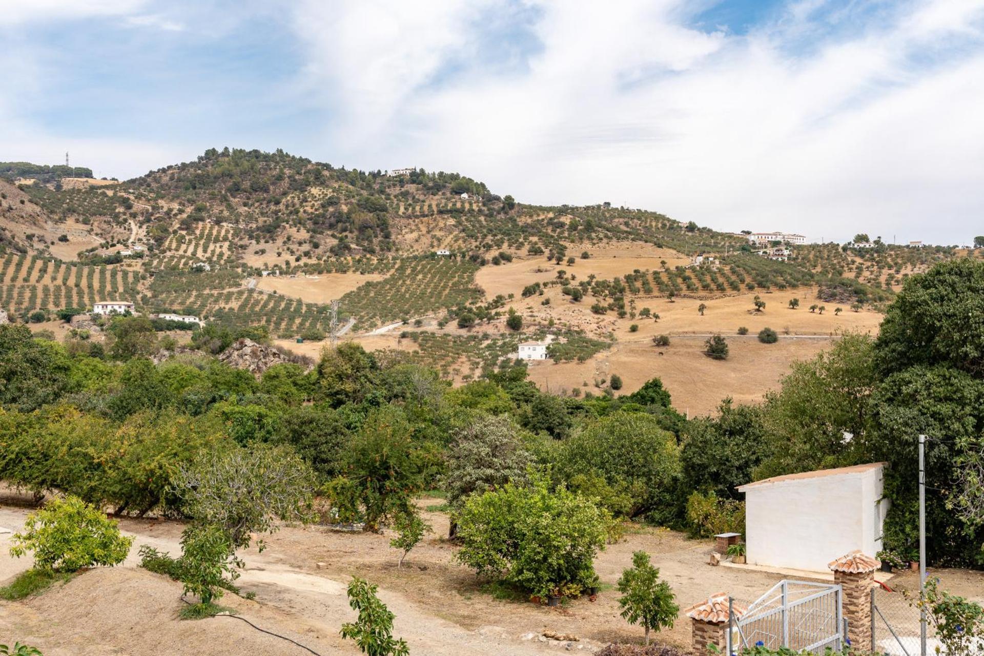 Malagasuite Cortijo Robles Casarabonela Bagian luar foto