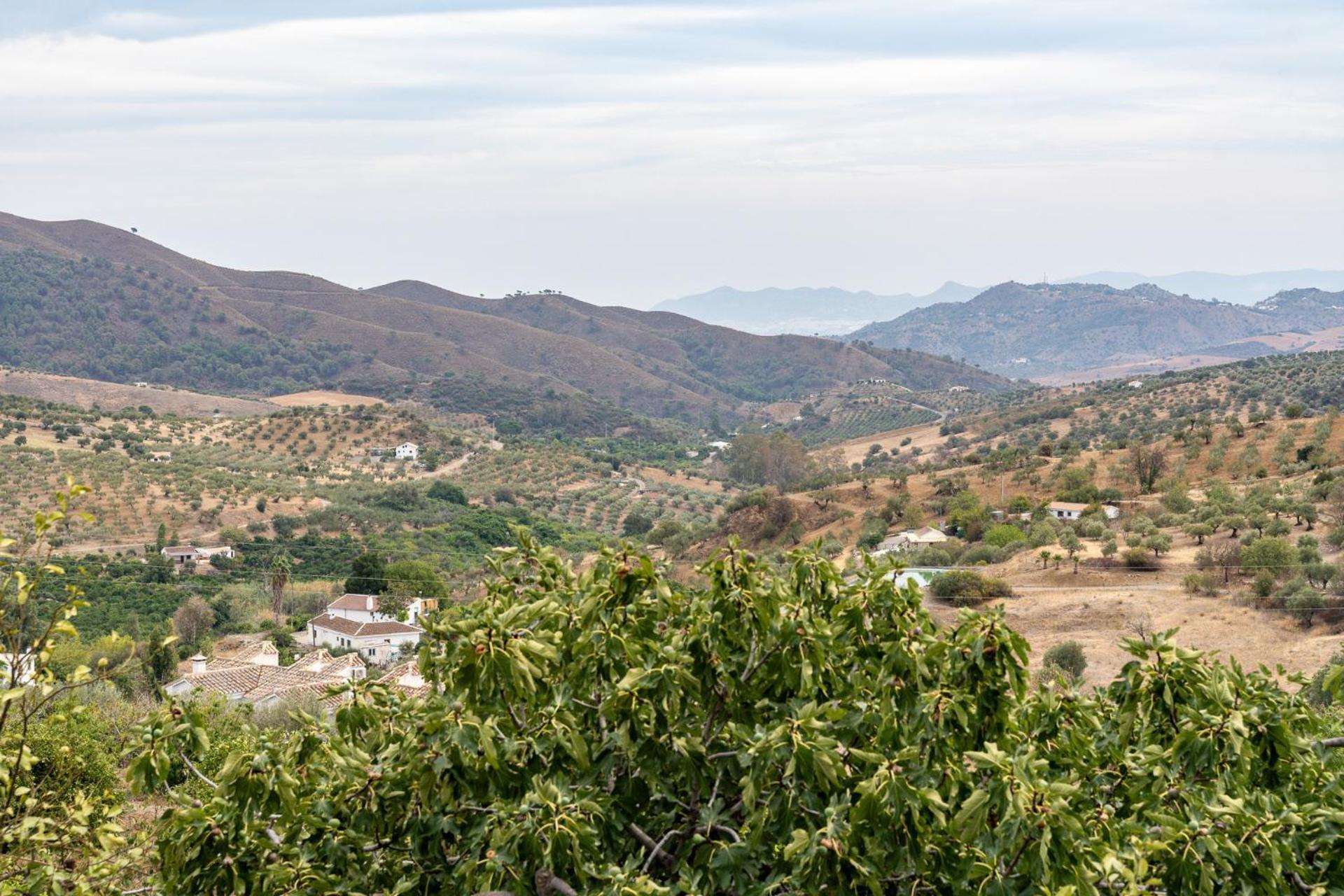 Malagasuite Cortijo Robles Casarabonela Bagian luar foto